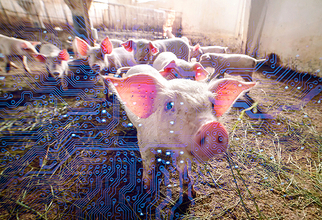 AIと最先端アグリテックで家畜飼料の自家配合と循環型モデルを構築、コーンテックが2020年から本格化めざす