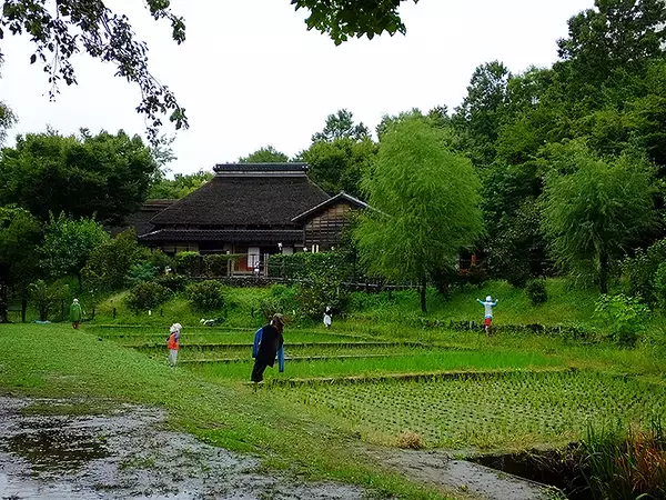 「東北線 赤羽から分岐する軌跡と動輪、赤羽緑道公園の煙と過去」の画像