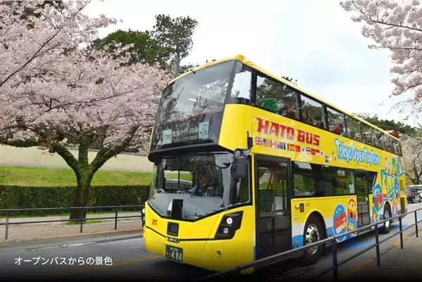 混雑回避し “桜と同じ目線”でお花見！はとバス2階建てオープンバス「東京さくら回廊」で千鳥ヶ淵の桜トンネルを、3/20から期間限定運行