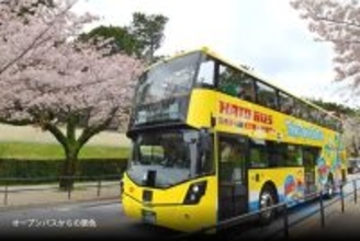 混雑回避し “桜と同じ目線”でお花見！はとバス2階建てオープンバス「東京さくら回廊」で千鳥ヶ淵の桜トンネルを、3/20から期間限定運行