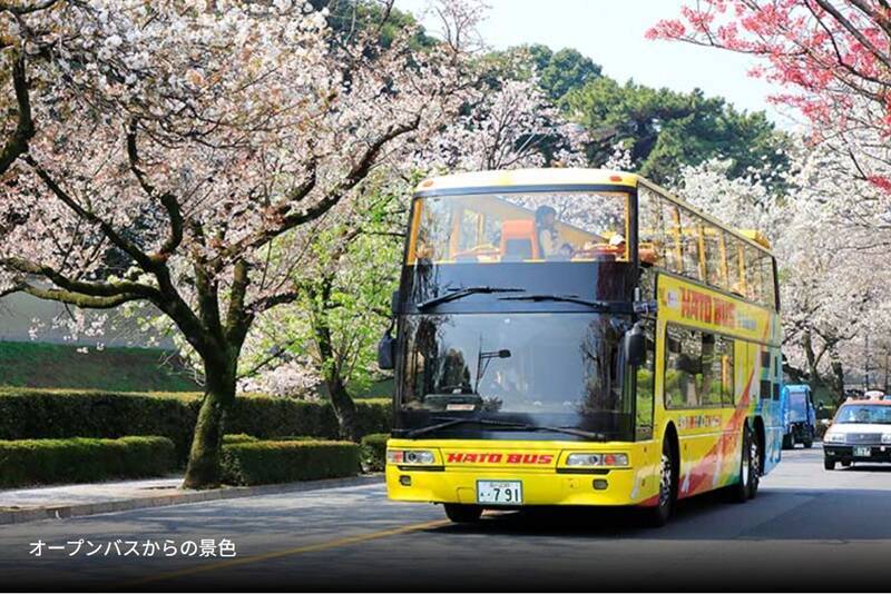 混雑回避し “桜と同じ目線”でお花見！はとバス2階建てオープンバス「東京さくら回廊」で千鳥ヶ淵の桜トンネルを、3/20から期間限定運行