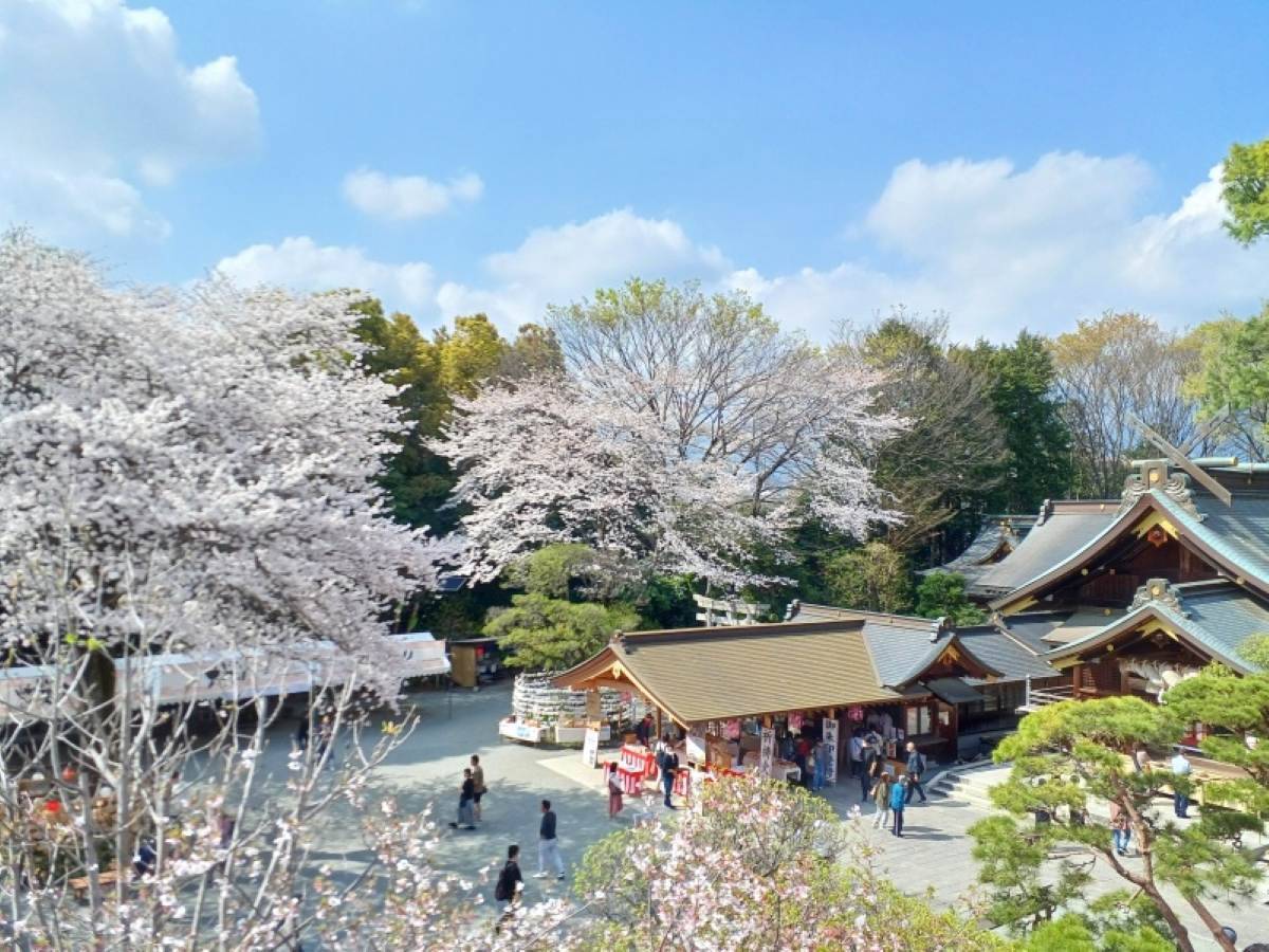 小田急の新提案「駅～貸し切りタクシー利用」で “神奈川の酒蔵を巡るツアー” 全6コース、駅から手ぶらで楽しむ 周辺観光＋日本酒 の旅