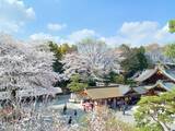 「小田急の新提案「駅～貸し切りタクシー利用」で “神奈川の酒蔵を巡るツアー” 全6コース、駅から手ぶらで楽しむ 周辺観光＋日本酒 の旅」の画像8