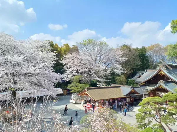 「小田急の新提案「駅～貸し切りタクシー利用」で “神奈川の酒蔵を巡るツアー” 全6コース、駅から手ぶらで楽しむ 周辺観光＋日本酒 の旅」の画像