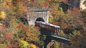 キハ110系「レトロラッピング車両」が宮城野貨物線内を初運行、3月に仙台駅発日帰りの旅