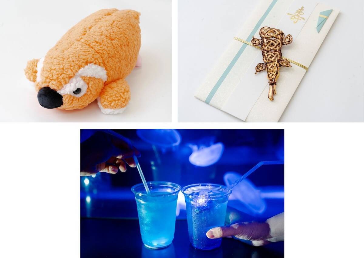 京都水族館「夜のすいぞくかん」シルバーウィーク5日間限定で開催！夜行性オオサンショウウオが動き出す！割引チケットや見どころまとめ