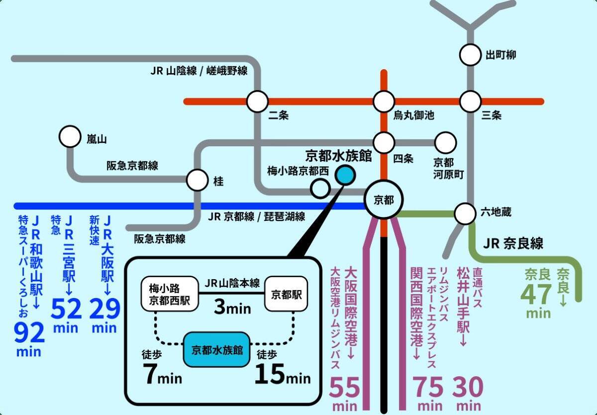 京都水族館「夜のすいぞくかん」シルバーウィーク5日間限定で開催！夜行性オオサンショウウオが動き出す！割引チケットや見どころまとめ
