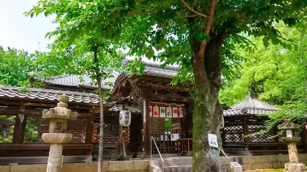 「【2026年 名古屋近郊】初詣の開運スポット8選！穴場の干支ゆかりスポット･恋の三社巡り･熱田神宮･大須観音などを紹介！（愛知）」の画像