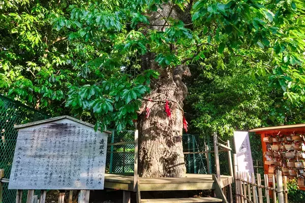 「【2026年 名古屋近郊】初詣の開運スポット8選！穴場の干支ゆかりスポット･恋の三社巡り･熱田神宮･大須観音などを紹介！（愛知）」の画像