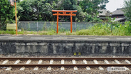特急列車との交換待ちでした　JR四国高徳線　板東駅（2）【木造駅舎コレクション】121