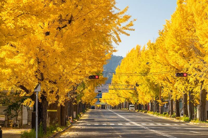 「JR中央線・家賃相場が安い駅ランキング」イオンモールが来春開業＆日本遺産認定の”あの市”の駅が上位を独占！駅による差も明らかに