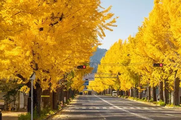 「「JR中央線・家賃相場が安い駅ランキング」イオンモールが来春開業＆日本遺産認定の”あの市”の駅が上位を独占！駅による差も明らかに」の画像