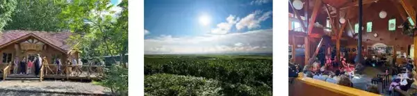 「観光列車 2代目 “くしろ湿原ノロッコ号”【2026年引退】ラストイヤー4/25運行開始、ダイヤから特別運行情報･予約方法まで解説（北海道）」の画像