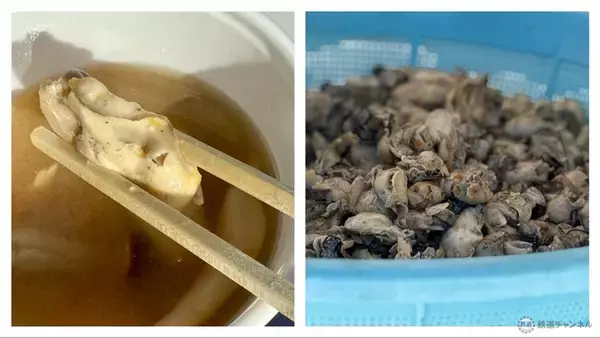 「【上野公園】牡蠣4万個の巨大鍋が無料？「広島ふるさと祭り」開催！ 本場お好み焼きや呉海自カレー、日本酒100銘柄も集結（1/9～12）」の画像