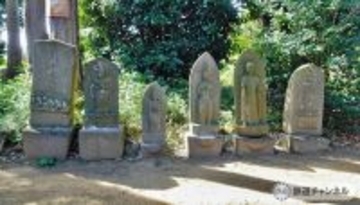 つくばエクスプレス【駅ぶら】048　流山セントラルパーク駅　その2　大宮神社　庚申塔