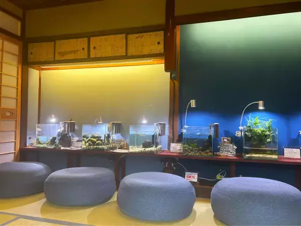 「無一文の大学生が町家を水族館に!? 福井･小浜の珍しい水族館、世界に一つだけの塗り箸制作体験、鯖街道の御食国など 小浜観光レポ 第2弾」の画像