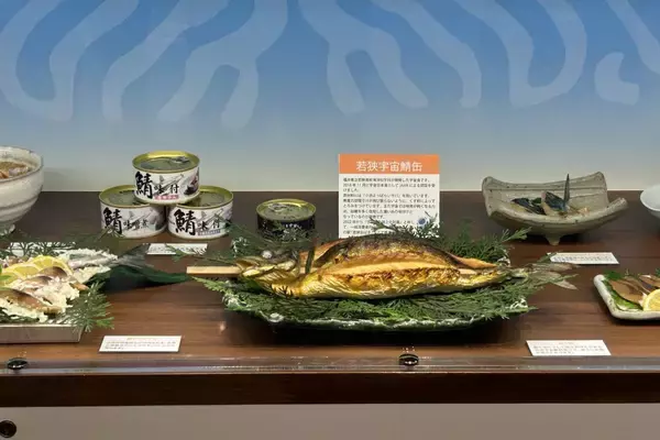 「無一文の大学生が町家を水族館に!? 福井･小浜の珍しい水族館、世界に一つだけの塗り箸制作体験、鯖街道の御食国など 小浜観光レポ 第2弾」の画像