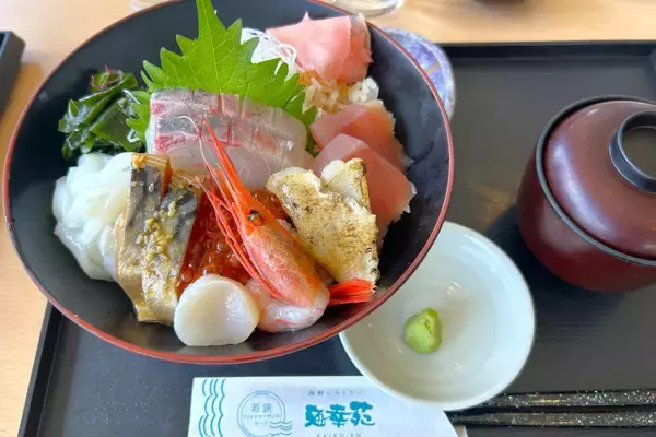 「無一文の大学生が町家を水族館に!? 福井･小浜の珍しい水族館、世界に一つだけの塗り箸制作体験、鯖街道の御食国など 小浜観光レポ 第2弾」の画像