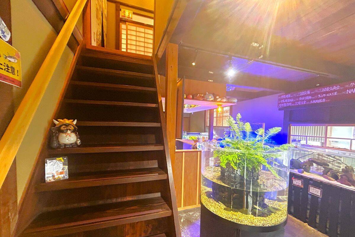 無一文の大学生が町家を水族館に!? 福井･小浜の珍しい水族館、世界に一つだけの塗り箸制作体験、鯖街道の御食国など 小浜観光レポ 第2弾