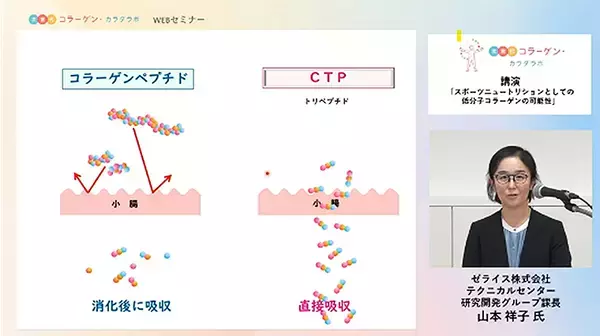 「痛みレスでトレーニングを続けるカギは低分子コラーゲン！ ゼライスの研究で骨折治癒作用や腱回復の効果も明らかに！ 次世代コラーゲン・カラダラボの説明会で」の画像