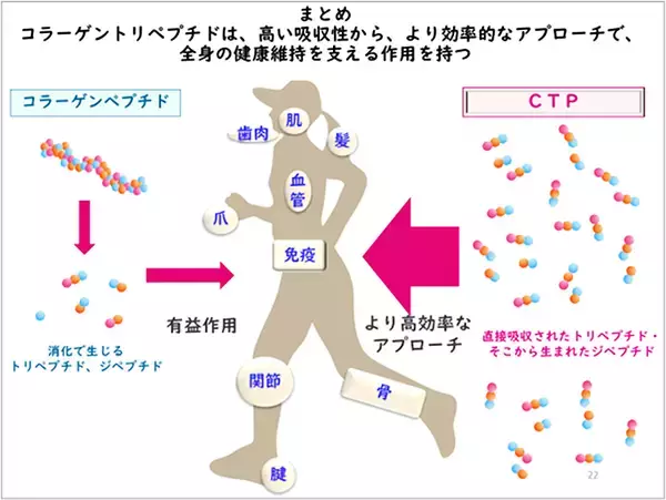 「痛みレスでトレーニングを続けるカギは低分子コラーゲン！ ゼライスの研究で骨折治癒作用や腱回復の効果も明らかに！ 次世代コラーゲン・カラダラボの説明会で」の画像