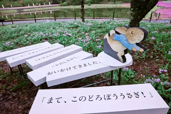 「2026年「ピーターラビット(TM) イングリッシュガーデン」開園！ 3,000球超の新種が加わった絶景の英国庭園と限定グッズに注目」の画像