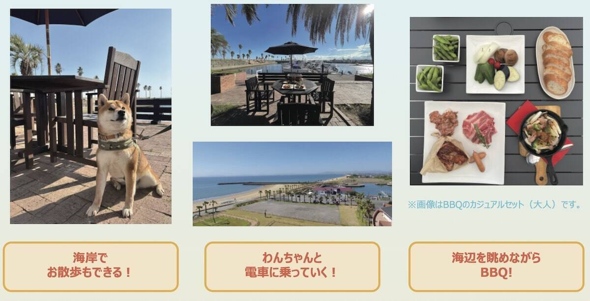 愛犬と電車旅！近鉄の観光列車「つどい」で行く「わんわん列車」第5弾！海辺のBBQも楽しめる日帰りツアー