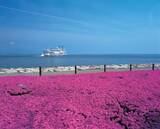 「【年末年始】9連休で行きたい「人気急上昇の国内旅行先」ランキングTOP30！1位は日本一早い初日の出の千葉県銚子市」の画像12