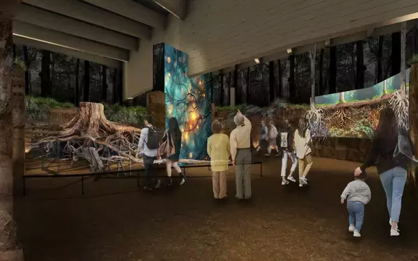 「横浜「GREEN×EXPO 2027」3/19開幕 主要3施設「テーマ館」「園芸文化館」「日本政府苑」を解説！ 隈研吾×杉山央が描く未来とは」の画像