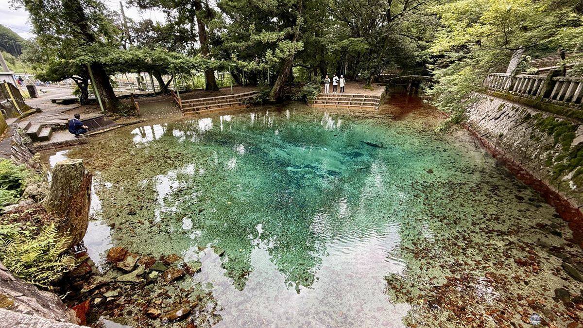 【山口DC】運休中の美祢線沿線を次世代モビリティ「e-Palette」で巡る？「美祢ぐるっと号」秋吉台・秋芳洞など絶景日帰りツアー体験レポ