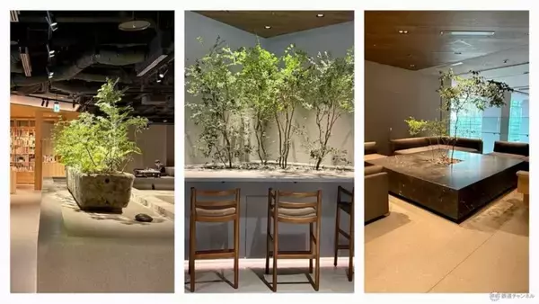 「高輪ゲートウェイシティの新エリア「MIMURE」3/28開業、ASAKO IWAYANAGI新業態や究極の牛丼など全22店舗をレポ、都会に“雨”が降る？」の画像