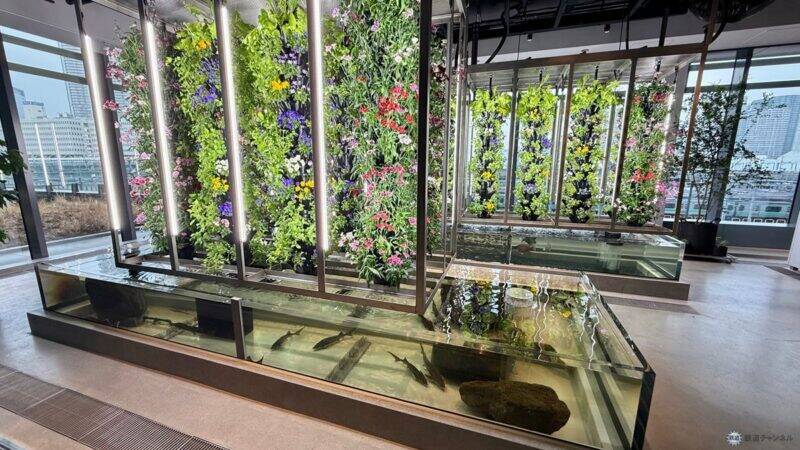 高輪ゲートウェイシティの新エリア「MIMURE」3/28開業、ASAKO IWAYANAGI新業態や究極の牛丼など全22店舗をレポ、都会に“雨”が降る？