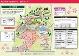 「富士山×河津桜×菜の花の絶景「まつだ桜まつり」2026開催！ミニSLなど見どころとアクセス情報まとめ（神奈川県松田町）」の画像4