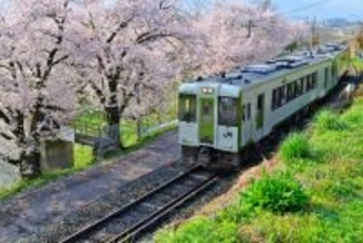 2026年春の青春18きっぷ！ねらい目は「3日間1万円」!? 旅行のプロが考える新ルール対応の京都･群馬お花見モデルコースも紹介