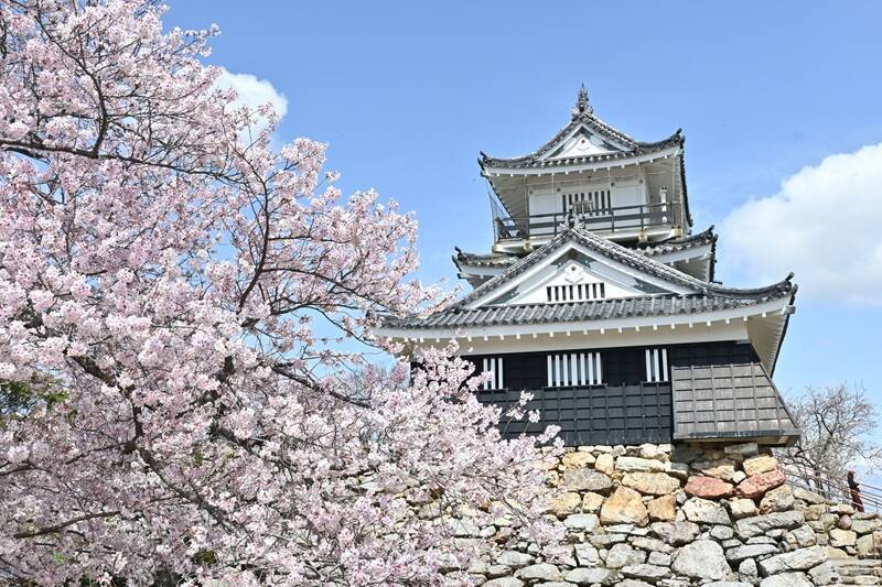 2026年春の青春18きっぷ！ねらい目は「3日間1万円」!? 旅行のプロが考える新ルール対応の京都･群馬お花見モデルコースも紹介