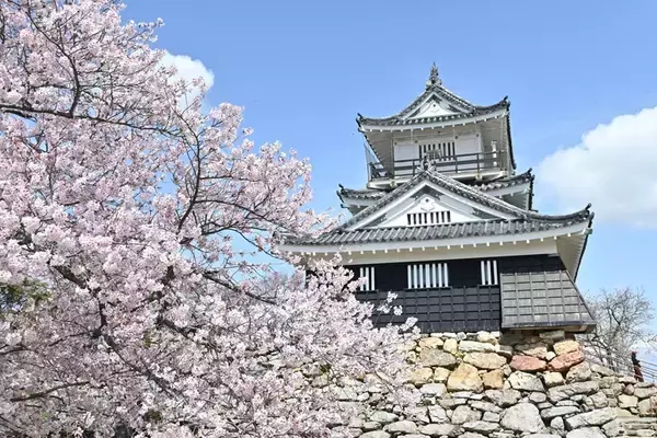 「2026年春の青春18きっぷ！ねらい目は「3日間1万円」!? 旅行のプロが考える新ルール対応の京都･群馬お花見モデルコースも紹介」の画像