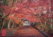 今秋の「そうだ 京都、行こう。」CMの舞台はどこ？山科「毘沙門堂門跡」の紅葉、朝夜の特別拝観13寺院は1,200円から、新ライトアップ「智山紅葉月」も