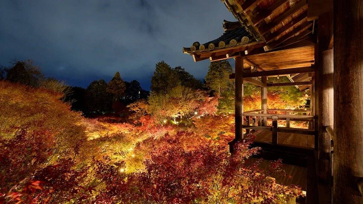 今秋の「そうだ 京都、行こう。」CMの舞台はどこ？山科「毘沙門堂門跡」の紅葉、朝夜の特別拝観13寺院は1,200円から、新ライトアップ「智山紅葉月」も
