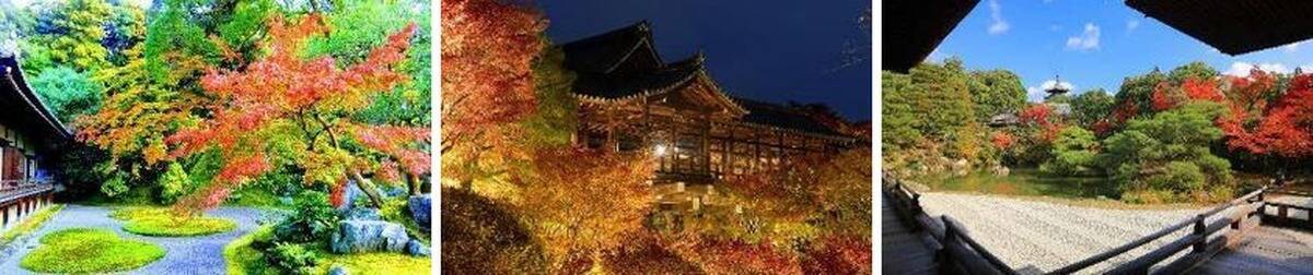 今秋の「そうだ 京都、行こう。」CMの舞台はどこ？山科「毘沙門堂門跡」の紅葉、朝夜の特別拝観13寺院は1,200円から、新ライトアップ「智山紅葉月」も