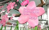 「山手線の車内が“夢の桜”で満開に！4099人の想いを乗せた”Dreamトレイン”運行中、市原隼人やミャクミャクなど著名人11名のメッセージも」の画像7