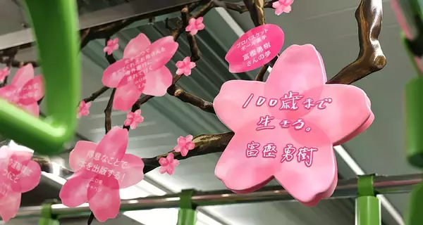 「山手線の車内が“夢の桜”で満開に！4099人の想いを乗せた”Dreamトレイン”運行中、市原隼人やミャクミャクなど著名人11名のメッセージも」の画像