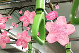 「山手線の車内が“夢の桜”で満開に！4099人の想いを乗せた”Dreamトレイン”運行中、市原隼人やミャクミャクなど著名人11名のメッセージも」の画像9