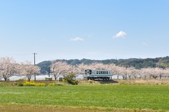 酒蔵見学や採蜜体験、ハーモニカの組立て……天竜浜名湖鉄道の貸切列車で浜松の魅力満喫　3月に特別ツアー