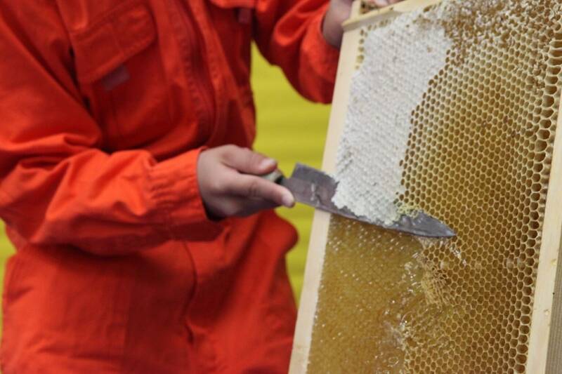 酒蔵見学や採蜜体験、ハーモニカの組立て……天竜浜名湖鉄道の貸切列車で浜松の魅力満喫　3月に特別ツアー