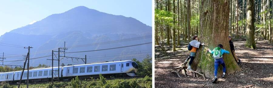 【2026年夏】西武鉄道でおトクに秩父へ？ 小児50円＆コスパ最強きっぷで「安・近・短」な家族旅行！ 深夜の正丸トンネル探検や特急ラビューも