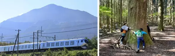 「【2026年夏】西武鉄道でおトクに秩父へ？ 小児50円＆コスパ最強きっぷで「安・近・短」な家族旅行！ 深夜の正丸トンネル探検や特急ラビューも」の画像