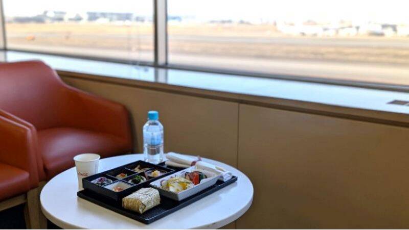 【2026年最新】羽田空港のJAL工場見学「JAL SKY MUSEUM」完全ガイド！ 大迫力の格納庫や歴代制服、激戦必至な予約のコツとは？