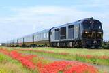 「「ななつ星」世界一への奇跡を放送【NHK新プロジェクトX】赤字鉄道が九州の誇りを取り戻した逆転の開発秘話！ 通過点が“鉄道旅の聖地”に」の画像1