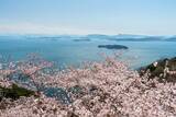 「桜色の電車で行きたい、岡山屈指のお花見スポット5選と「扇形機関庫」を巡る春の鉄道旅、2026岡山の桜は3/27前後の開花予想！」の画像1