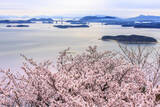 「桜色の電車で行きたい、岡山屈指のお花見スポット5選と「扇形機関庫」を巡る春の鉄道旅、2026岡山の桜は3/27前後の開花予想！」の画像11